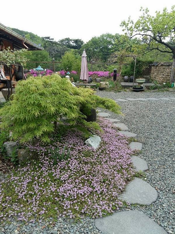 경북 경주 예쁜 구옥 촌집 매매 시골집 매매 3.jpg