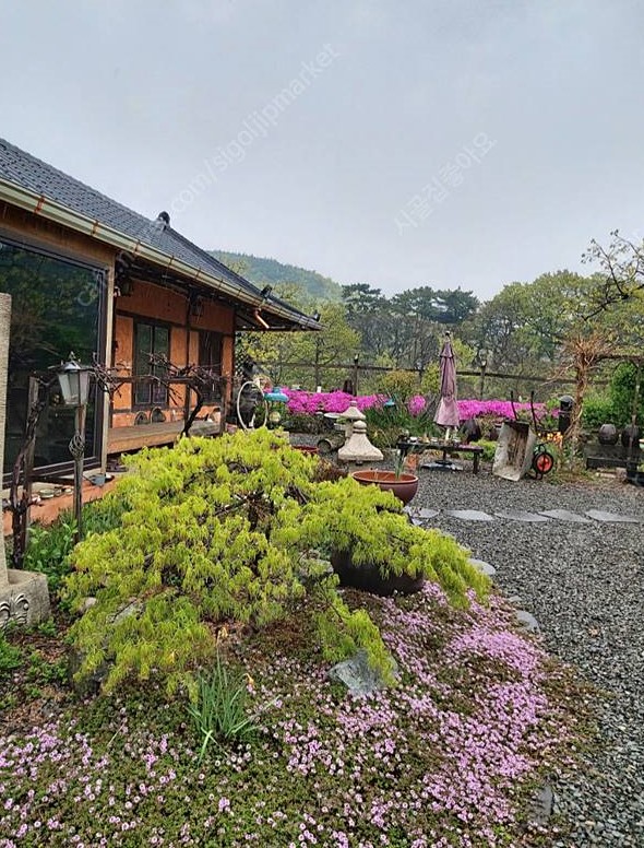 경북 경주 예쁜 구옥 촌집 매매 시골집 매매 1.jpg