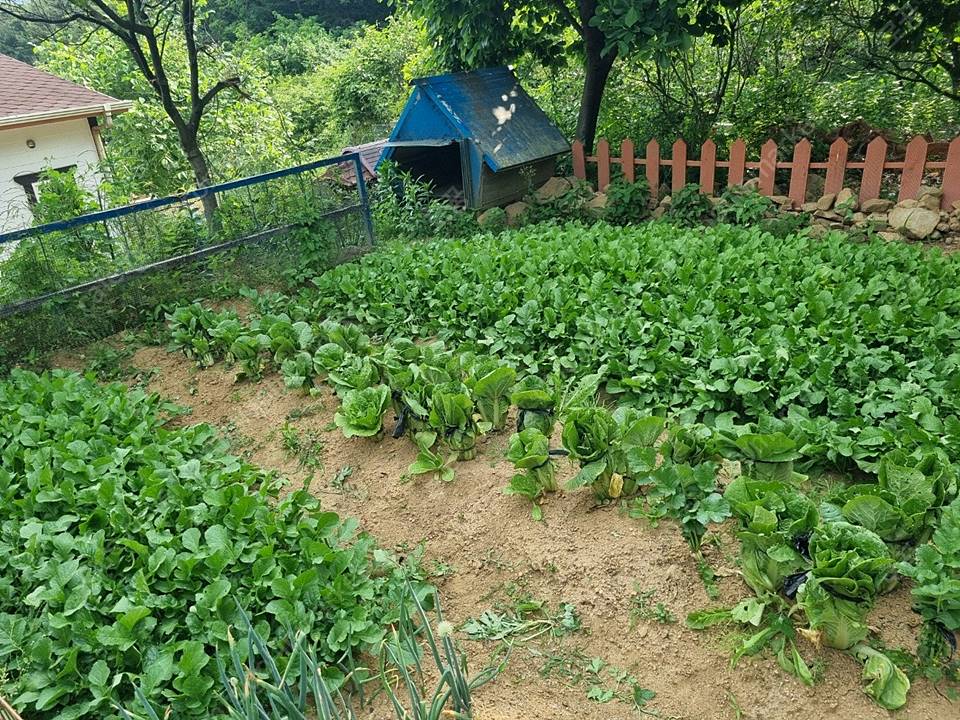 경남 산청 수영장 전원주택매매 시골집 매매 (4).jpg