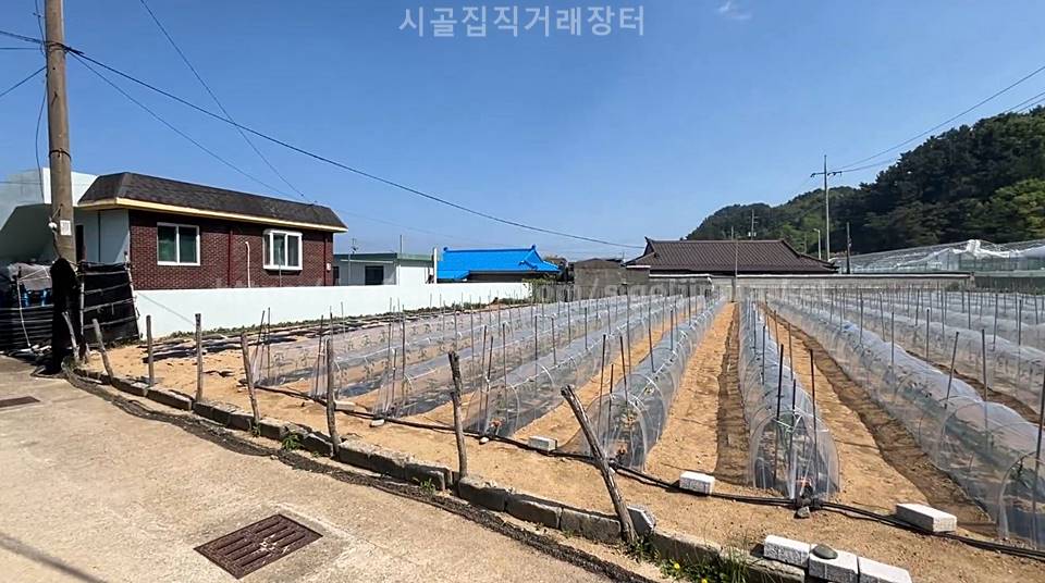 경북 울진 바닷가 촌집 매매 시골집 매매 4.jpg