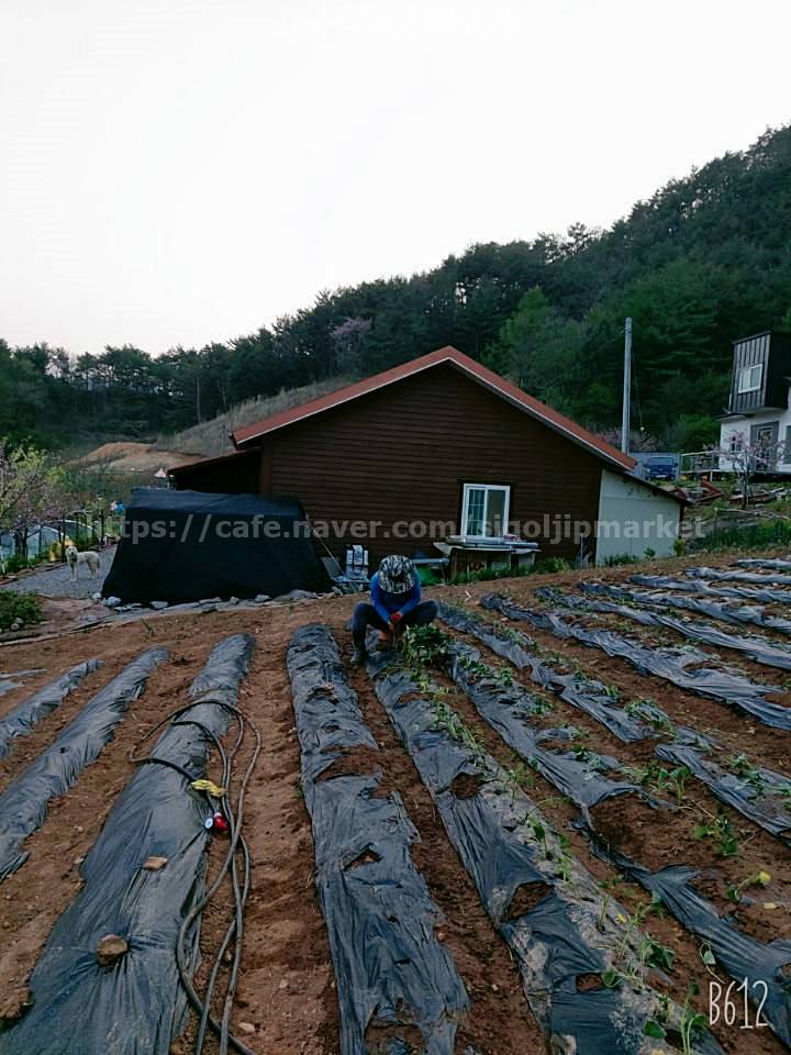 강원도 정선 가리왕산 전원주택 매매 시골집 매매 (5).jpg