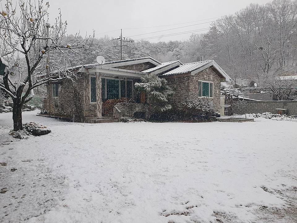 경북 예천 낭만 전원주택 매매 시골집 매매 2.jpg