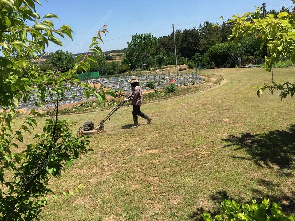 충남 태안 넓은 토지 전원주택 시골집 매매 (9).jpg