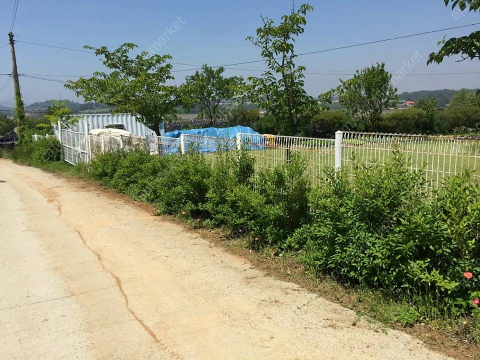 충남 태안 넓은 토지 전원주택 시골집 매매 (12).jpg