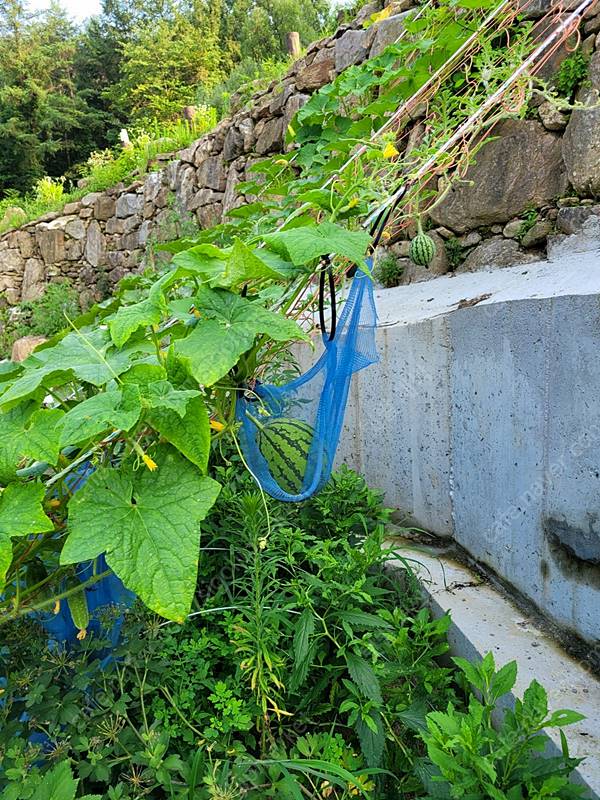 충북 제천 계곡 인근 예쁜 전원주택 매매 (4).jpg