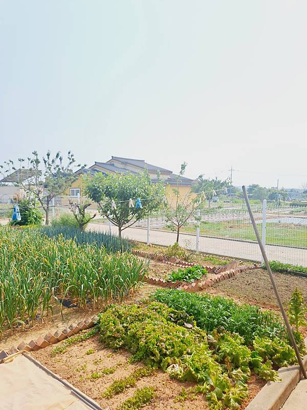 충남 아산 잘 관리된 전원주택 매매 (4).jpg