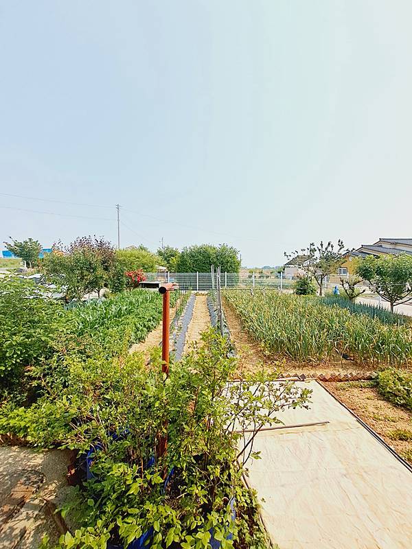 충남 아산 잘 관리된 전원주택 매매 (3).jpg