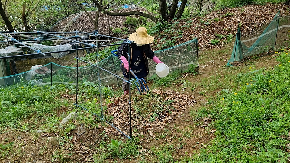 경기도 양평 넓고 깨끗한 전원주택 매매 6.jpg