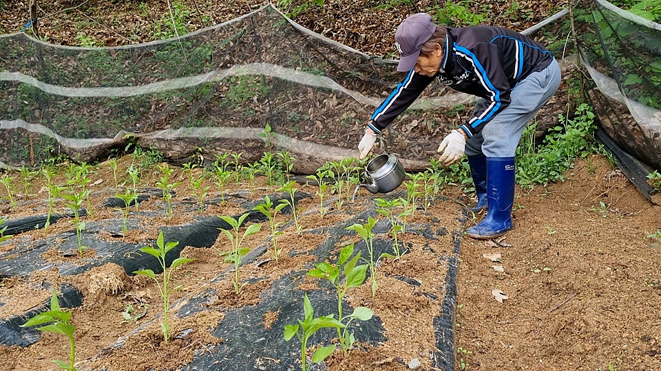 경기도 양평 넓고 깨끗한 전원주택 매매 7.jpg