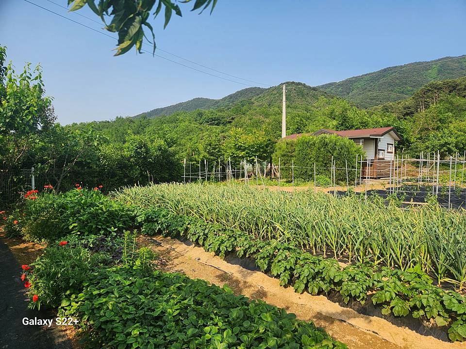 충남 보령 살고 싶은 주택 매매 시골집 매매 26.jpg
