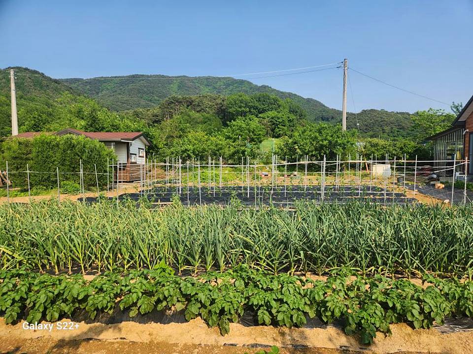 충남 보령 살고 싶은 주택 매매 시골집 매매 27.jpg