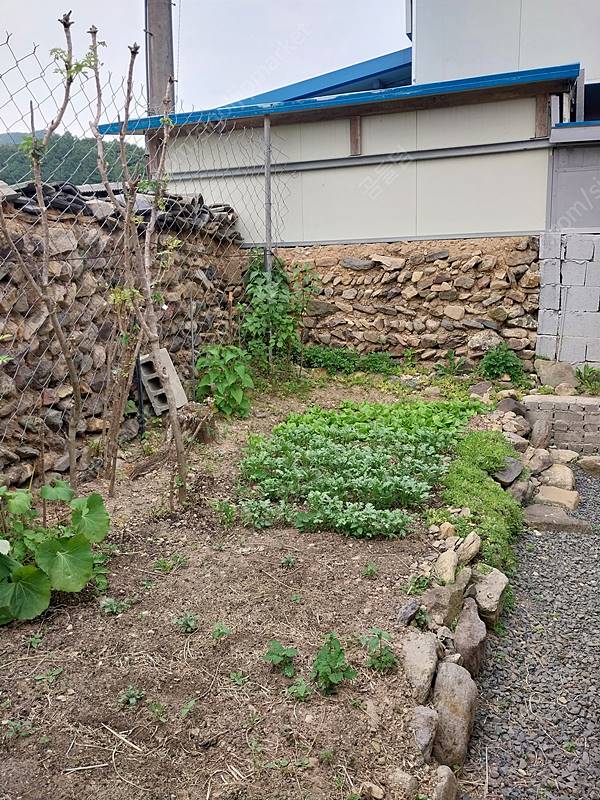 경북 영천 시골집 매매 13.jpg