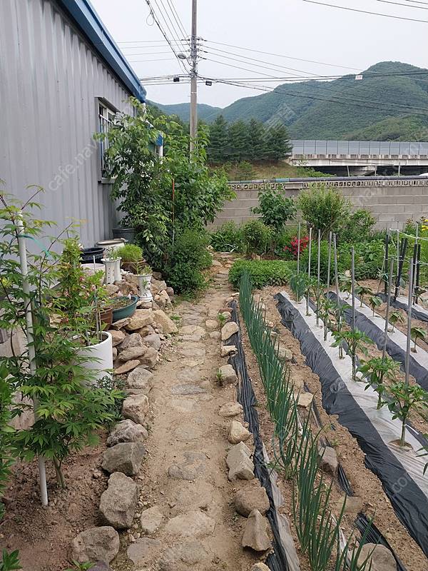 경북 영천 시골집 매매 14.jpg