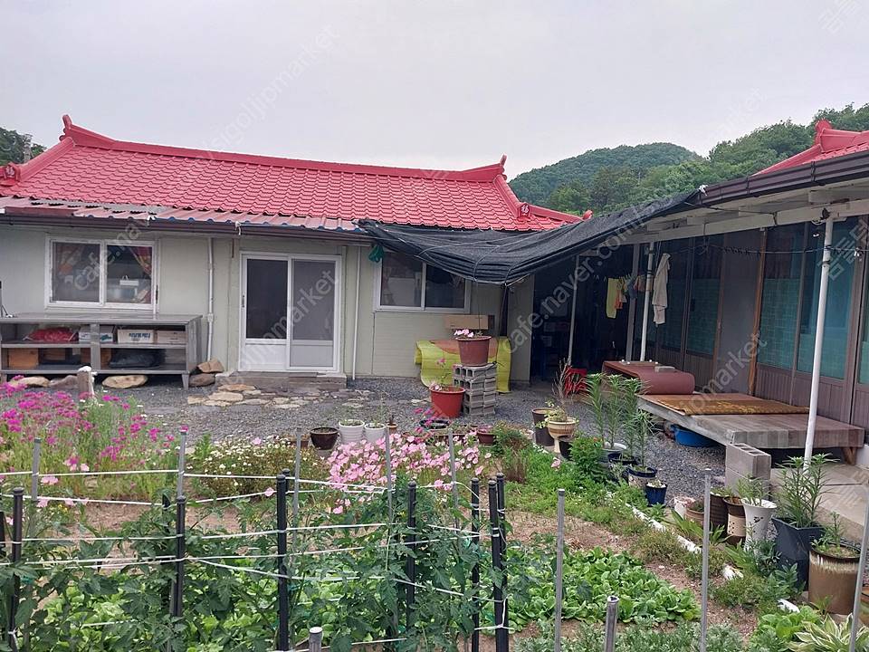 경북 영천 시골집 매매 29.jpg