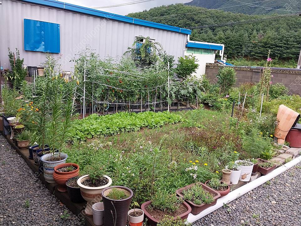 경북 영천 시골집 매매 17.jpg