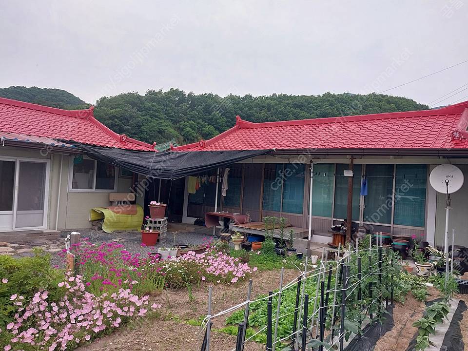 경북 영천 시골집 매매 7.jpg