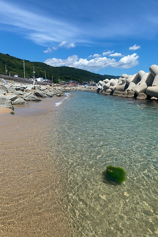 경북 영덕 조용한 바닷가 시골집 매매 촌집 매매 (7).jpg