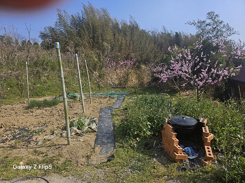 전남 함평 작은 시골집 매매 촌집 매매 (4).jpg