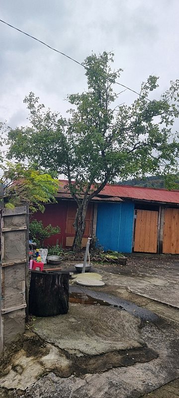 충남 보령 소소한 시골집 매매 촌집 매매 5.jpg