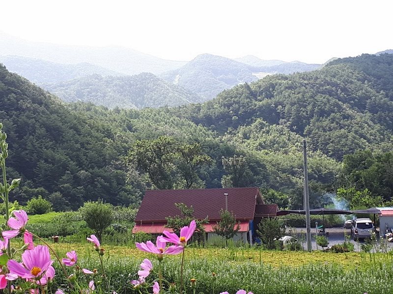 강원도 정선 양지바른 전원주택 매매 시골집 매매 (4).jpg