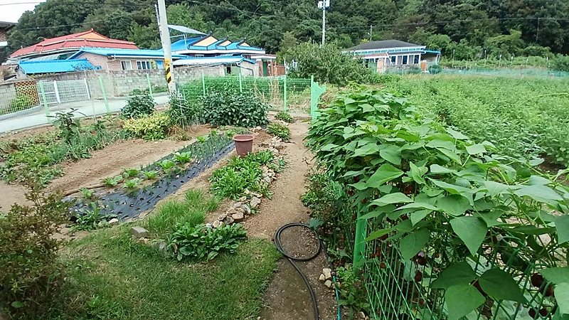 충남 공주 관리 잘한 전원주택매매 시골집매매 (5).jpg