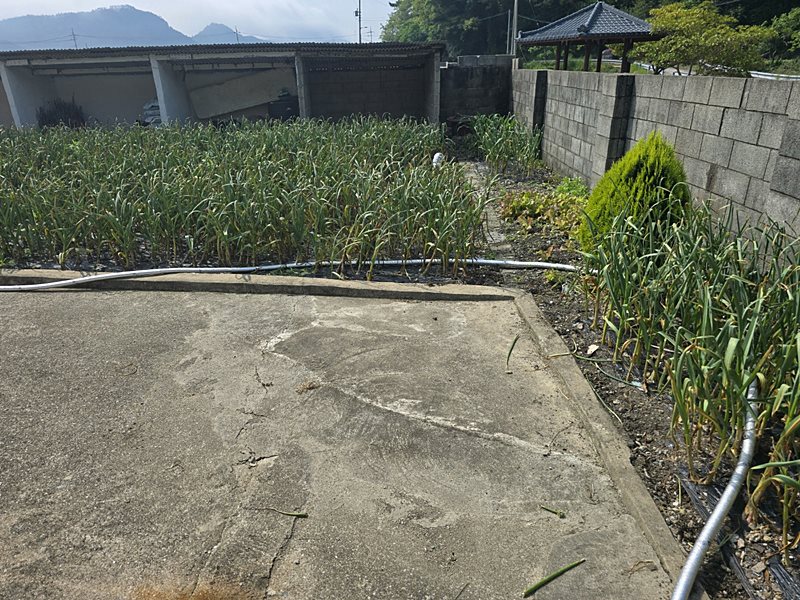 전남 완도 작고 소박한 시골집 매매 빈집매매 (3).jpg