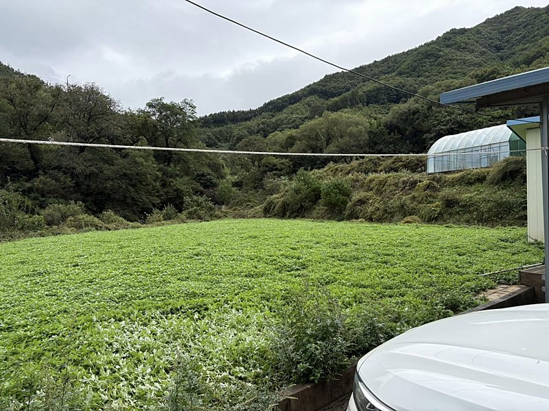 전북 무주 계곡 낀 멋진 땅 매매 농막 매매 (3).jpg