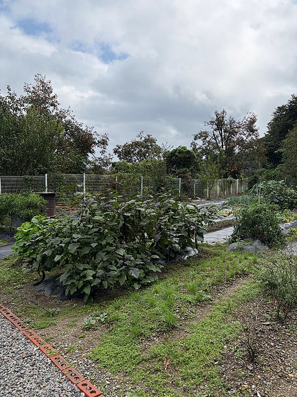 전북 완주 실용적 전원주택 매매 시골집 매매 7.jpg