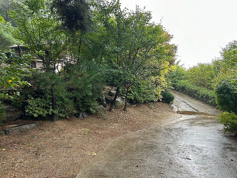 강원도 양구 청정 전원주택 매매 시골집 매매 2.jpg