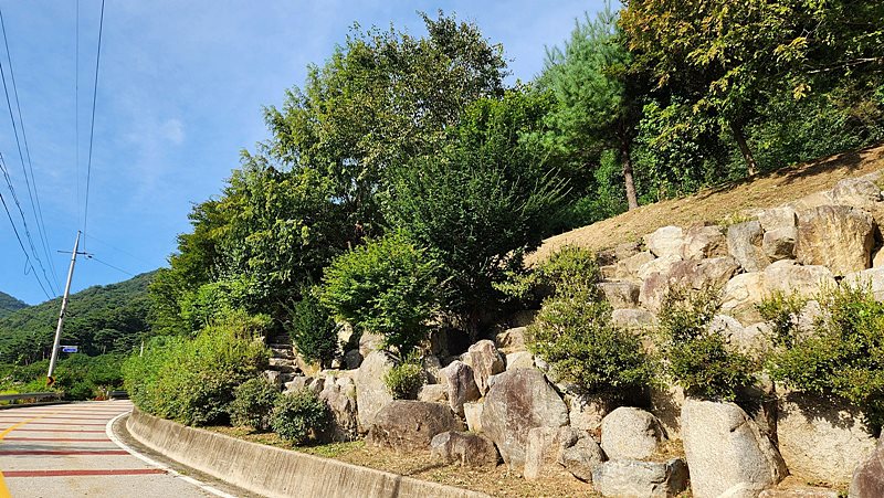 강원도 양구 청정 전원주택 매매 시골집 매매 16.jpg