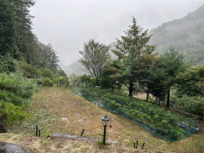 강원도 양구 청정 전원주택 매매 시골집 매매 8.jpg