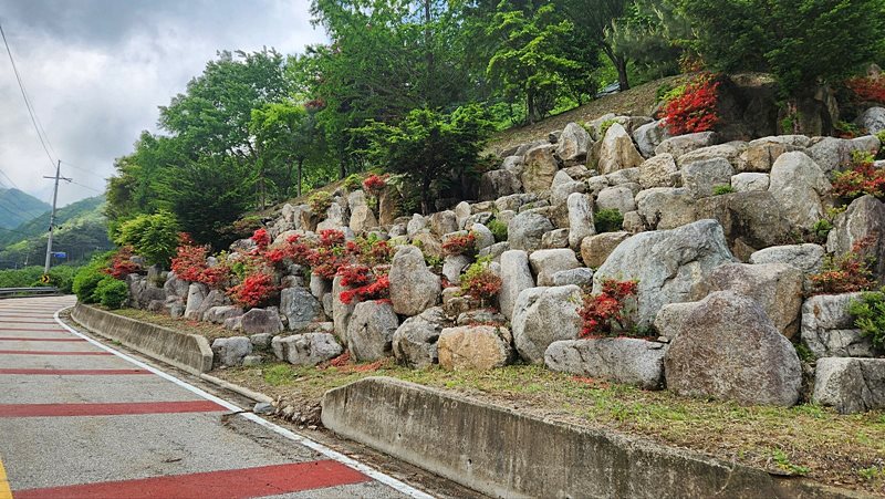 강원도 양구 청정 전원주택 매매 시골집 매매 17.jpg