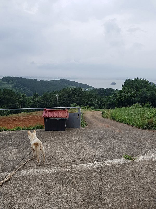 경남 남해 바다뷰 1억 주택 시골집 매매 2.jpg