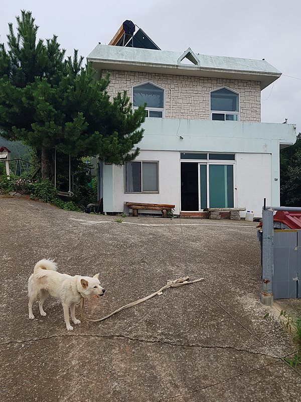 경남 남해 바다뷰 1억 주택 시골집 매매 1.jpg