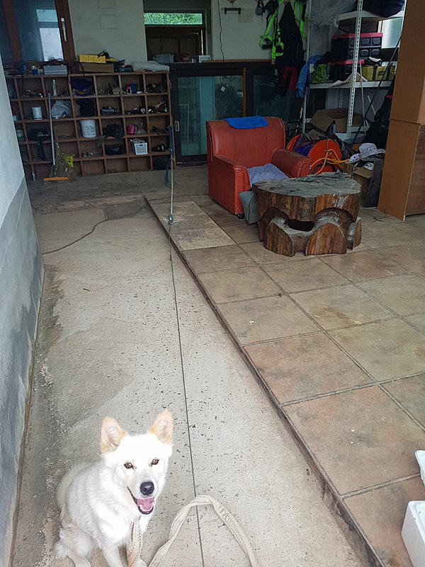 경남 남해 바다뷰 1억 주택 시골집 매매 12.jpg