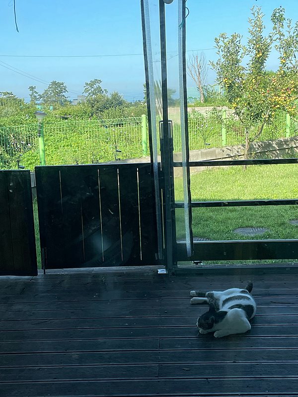 부산 기장 일광 세컨하우스 임대 시골집 월세 8.jpg