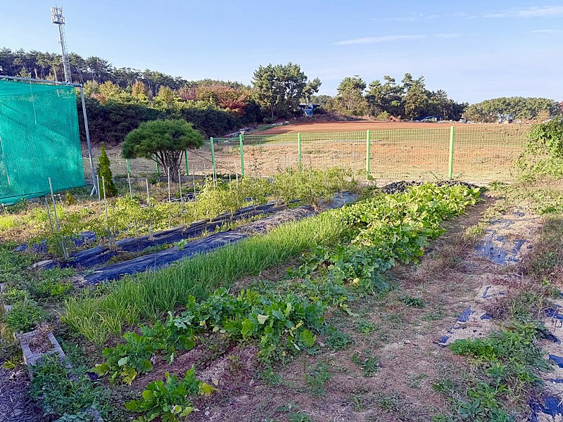 부산 기장 일광 세컨하우스 임대 시골집 월세 6.jpg
