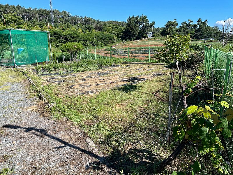 부산 기장 일광 세컨하우스 임대 시골집 월세 5.jpg