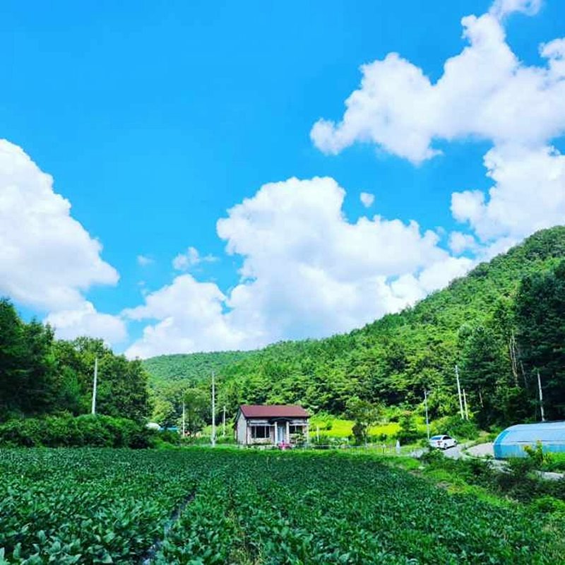 전남 화순 독립된 시골집 매매 전원주택 매매 1.jpg