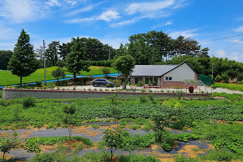 충남 태안 매력적 시골집 매매 전원주택 매매 (2).jpg