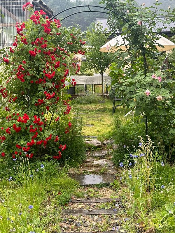 경북 봉화 낭만 주택 매매 시골집 매매 (2).jpg