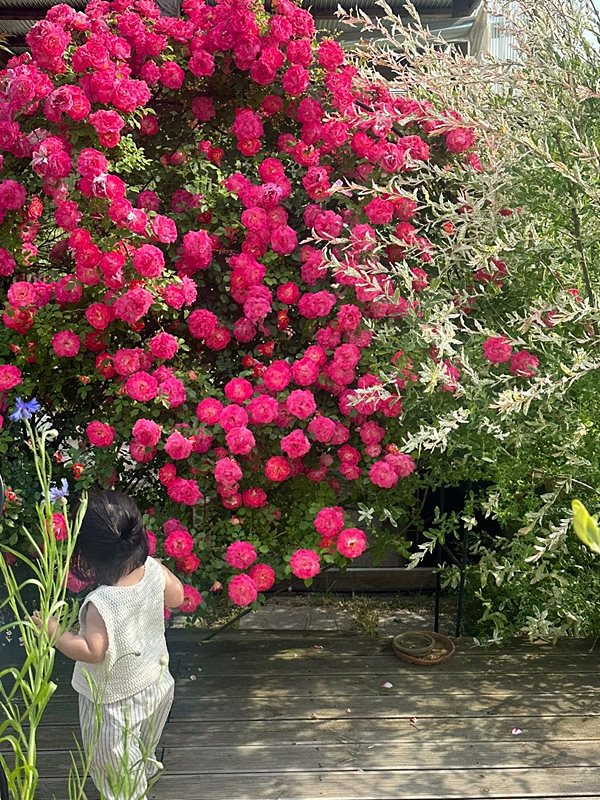 경북 봉화 낭만 주택 매매 시골집 매매 (4).jpg