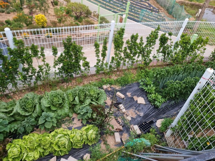 충남 천안 편리한 전원주택 매매 단독주택 매매 (4).jpg