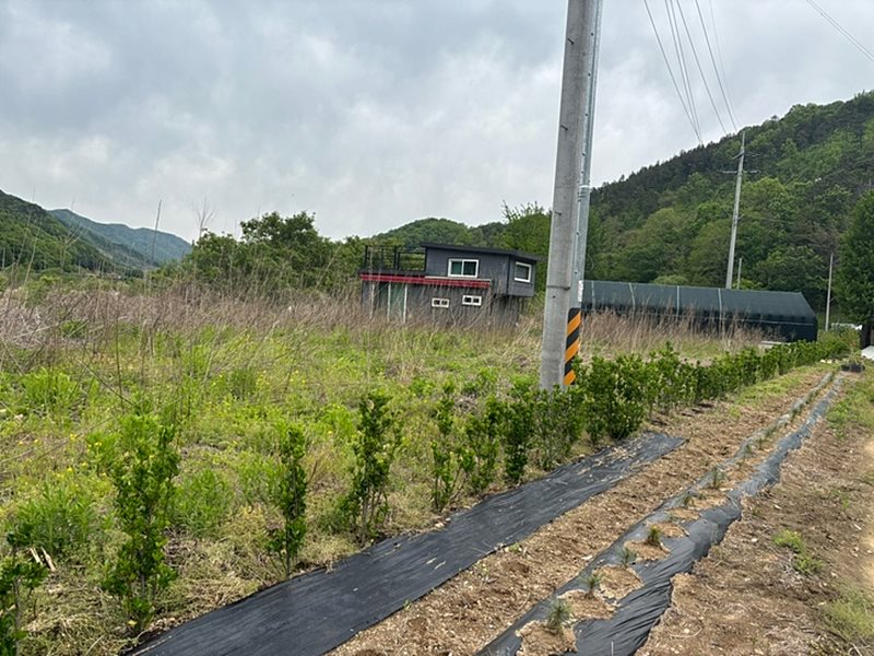 충북 옥천 풍경 좋은 농막 매매 주택 매매 (4).jpg