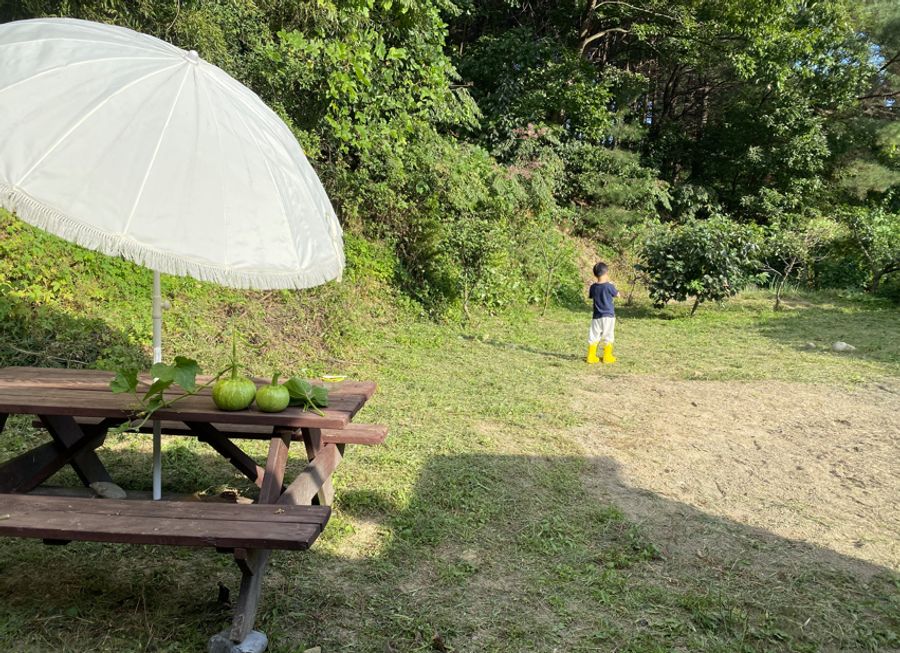 충북 보은 따뜻한 시골집 매매 전원주택 매매 (4).jpg