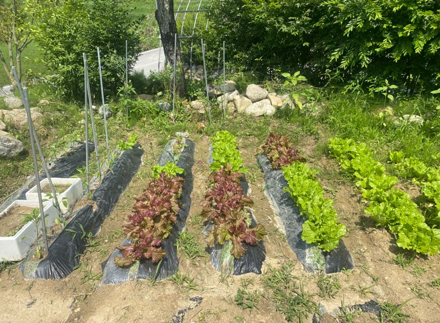 충북 보은 따뜻한 시골집 매매 전원주택 매매 (7).jpg