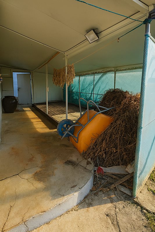 전남 영광 한적한 시골집 매매 촌집 매매 (6).jpg