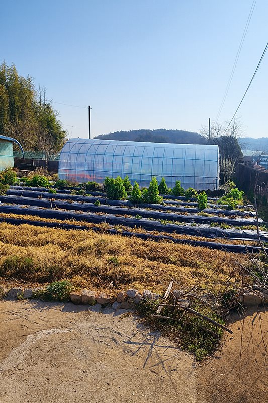 전남 영광 한적한 시골집 매매 촌집 매매 (4).jpg