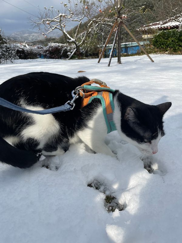 전남 순천 낭만 시골집 매매 전원주택 매매 (16).jpg