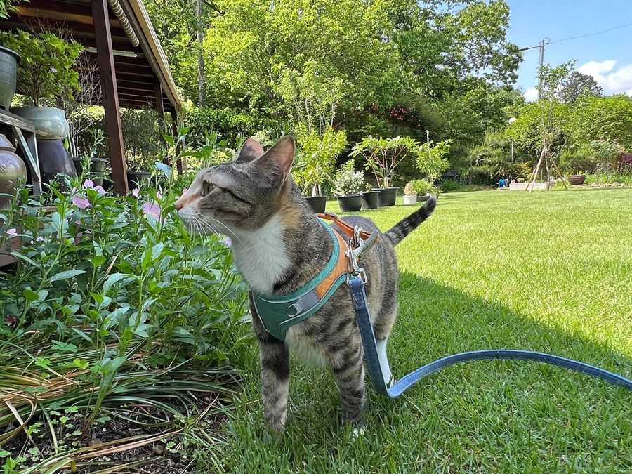전남 순천 낭만 시골집 매매 전원주택 매매 (15).jpg
